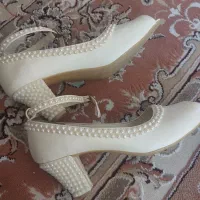 کفش مجلسی