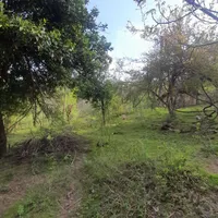 زمین مسکونی فروشی در روستای گنجار|فروش زمین و ملک کلنگی|احمدسرگوراب, |دیوار