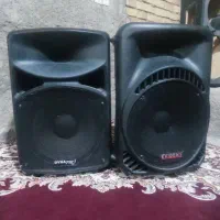 بانداکتیو