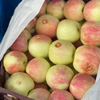 میوه