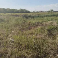 زمین کشاورزی برای خانه باغ