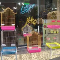 پرنده سرای پرطلا قروه درگزین