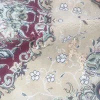 یک عدد قالی ۱۲ متری