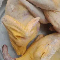 استخدام فروشنده صحرایی - فرصتی خوب برای همکاری