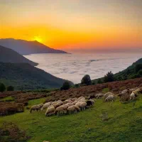 تور۶روزه  شادشمال