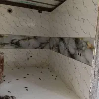 کاشی کاری