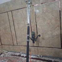 لنسر ماهیگیری کرکدیل