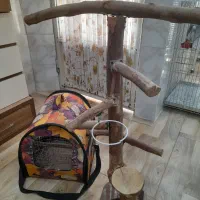 کیف پرنده