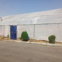 اجاره-گلخانه-به-متراژ-1000-متر-با-کلیه-امکانات