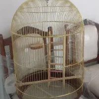 قفس زیبای پررنده