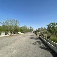باغچه فروشی کهنز قوام
