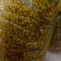 ترشی بن