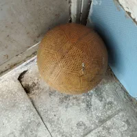 توپ