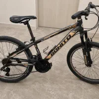 دوچرخه دنده ای