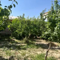 باغ ویلا
