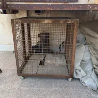 قفس بزرگ