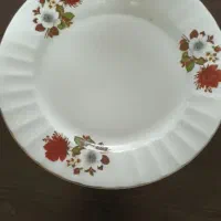 بشقاب گل سرخی ۶ عدد