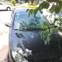206 صندوق دار V1 اریان