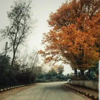 زمین-مسکونی-ویلایی-روستای-لاقان
