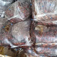 فروش خرما ضایعاتی حدود ۱۰۰ تن