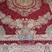 تک ۱۲ متری ۵۰۰ شانه زرشکی نیاز به شور دارد
