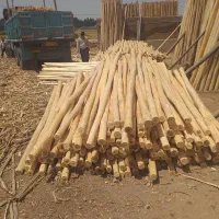 خرید و فروش انواع چوب