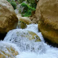 رودخانه خروشان زوعلیا