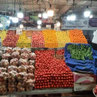 شاگردبارچین میوه فروشی