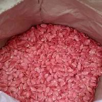 بذر کدو اجیلیT19