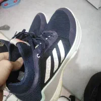 کفش والیبال ادیداس کریزی