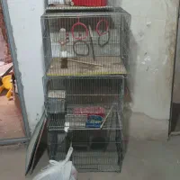فروش ۴ عدد قفس پرنده (به صورت تکی هم امکان پذیره)