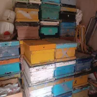 فروش کندو خالی و طبقه