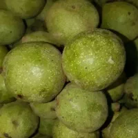 گردو .کمکول