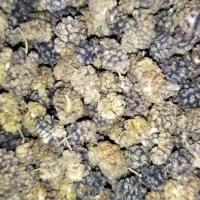 توت خشک دیابتی