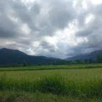 اجاره ویلا
