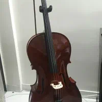 ویولنسل آلوی