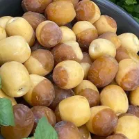 رطب درجه یک شادگان
