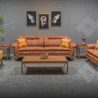 کارشناس فروشنده حرفه ای مبلمان