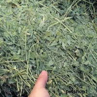 یونجه خشک بسته بندی