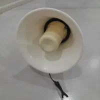 بلندگو شیپوری
