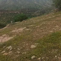 زمین شهرک امام گلستان 12