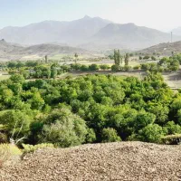 زمین بخش ساردو در بهشت روستای ده دیوان