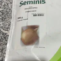 بذر پیاز Seminis GolDEN SPIKE