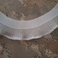 دانتل پلیسه