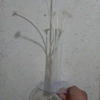 استند بادکنک