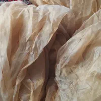 رو پنچره ای