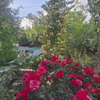 خانه‌ باغ.‌ لاکچری