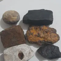 سنگهای کلکسیونی وفسیل امونیت