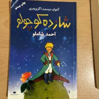 شازده کوچولو