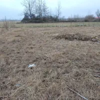 ۲۷۰متر زمین کشاورزی